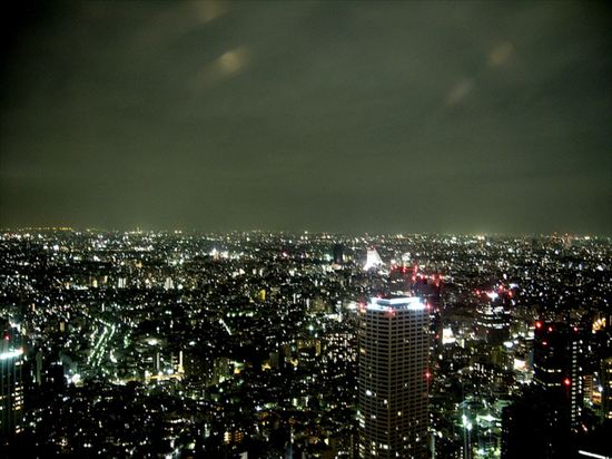 Tokyo Metropolitan Government Building and Observatory