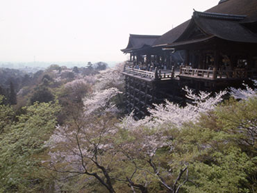 Kiyomizu-dera 【World Heritage】