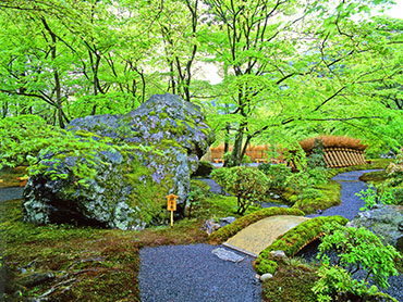 Daihonzan Tenryuji Sub-temple Daikizan Hogonin