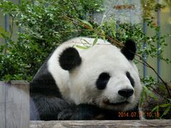 Ueno Zoo
