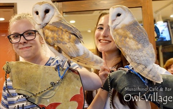 ふくろうの里　原宿店