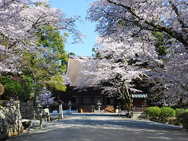 Mii-dera Temple (Onjoji Temple)