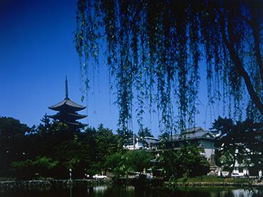 Kohfukuji Temple　【World Heritage】