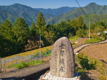 Kumano Sankeimichi Kohechi (surpasses Hatenashi)【world heritage site】