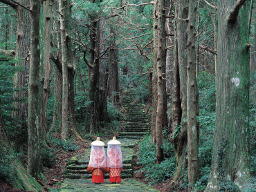 Daimonzaka of the Kumano Kodo route【world Heritage】