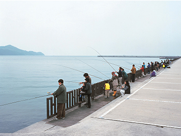 Sea Fishing Park