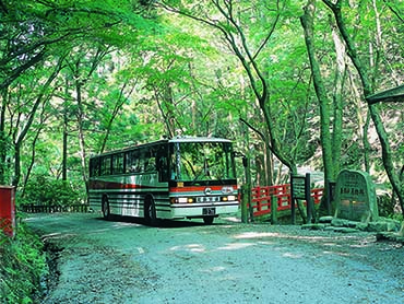 奈良交通定期観光バス