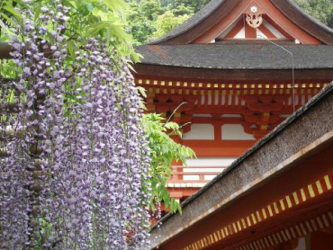 Kasuga Taisha Shrine【world heritage site】