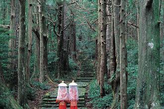 熊野古道 大門坂【世界遺産】
