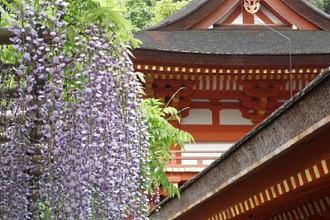 春日大社【世界遺産】