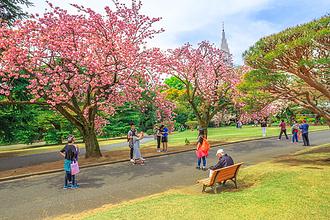 Shinjuku Gyoen