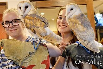ふくろうの里　原宿店