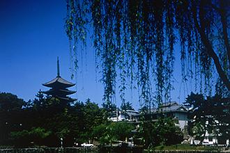 Kohfukuji Temple　【World Heritage】