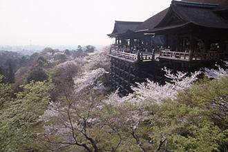 Kiyomizu-dera 【World Heritage】